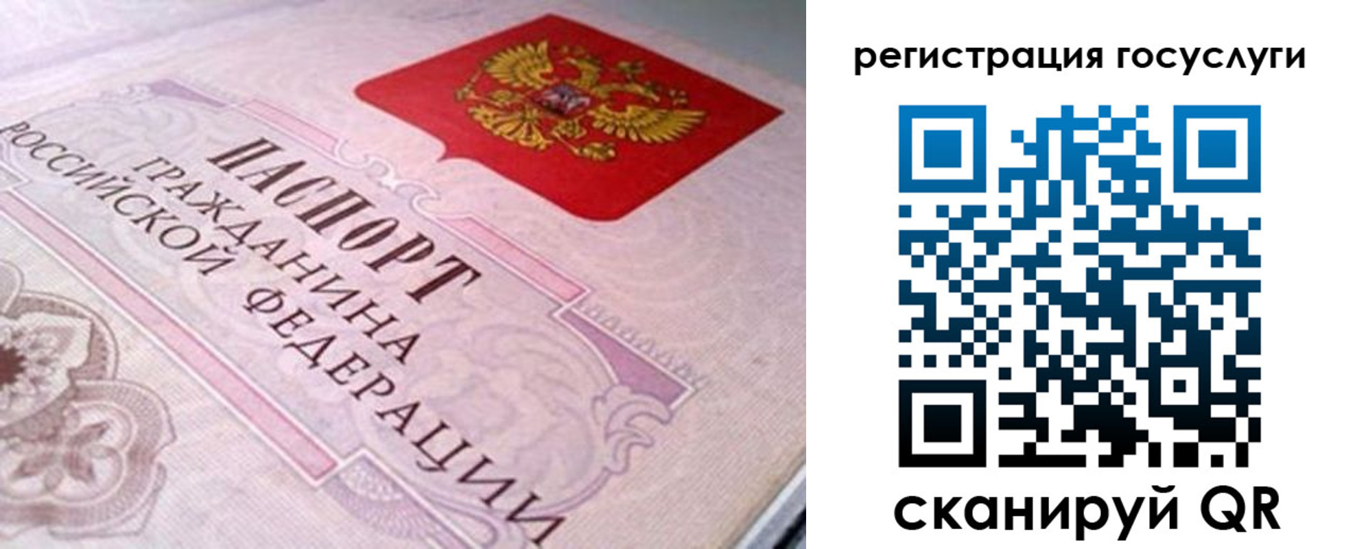 где прописаться в Снежногорске